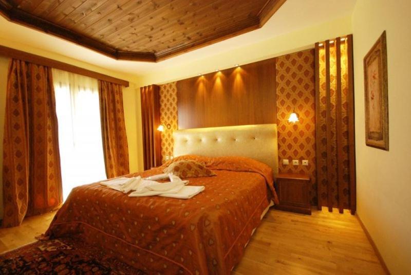 Vasilitsa Spa Resort Grevena Phòng bức ảnh