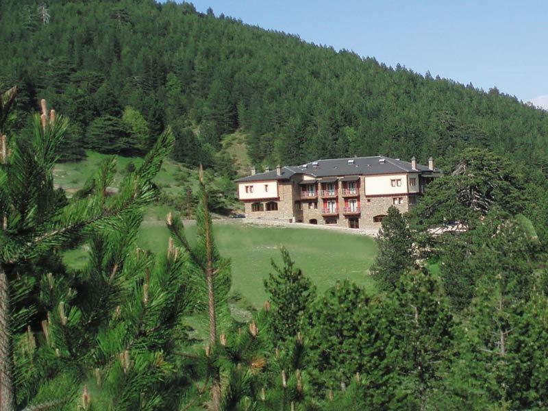 Vasilitsa Spa Resort Grevena Ngoại thất bức ảnh
